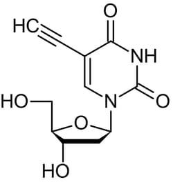 Abcam EdU, DNA synthesis monitoring probe, 250MG