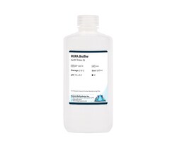 Boston Bioproducts Inc RIPA Buffer (with Triton X) - 500ml, Quantity: Each