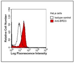 Abcam Mouse monoclonal [2088C3a] to BRD3, Quantity: Each of 1