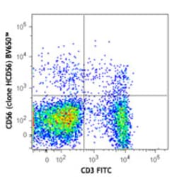 Biolegend Brilliant Violet 650 anti-human CD56 (NCAM), Quantity: Each of