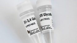New England Biolabs, Inc. β1-3,4 Galactosidase - 400 units, Quantity: Each
