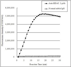 Abcam Histone Deacetylase (HDAC) Activity Assay Kit (Fluorometric), Quantity:
