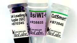 New England Biolabs, Inc. BsiWI-HF – 1500 units, Quantity: Each of 1