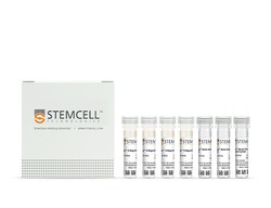 STEMCELL Technologies EasySep Mouse Pan-DC Enrichment Kit, For processing: