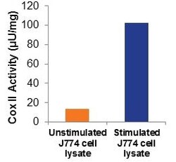 Abcam Cyclooxygenase (COX) Activity Assay Kit (Fluorometric)