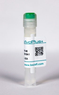 Bio X Cell InVivoPlus anti-mouse PD-1 Monoclonal Antibody, Clone RMP1-14,