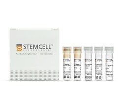 STEMCELL Technologies EasySep Human Resting CD4+ T Cell Isolation Kit,