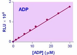 Bioassay Systems EnzyLight™ ADP Assay Kit. For rapid, quantitative, bioluminescent determination of ADP concentration and evaluation of drug effects on ADP metabolism.