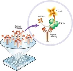 Abcam Pyruvate dehydrogenase (PDH) Enzyme Activity Microplate Assay Kit,