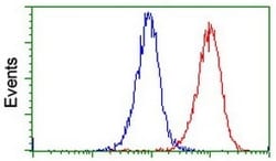 Abcam Mouse monoclonal [OTI4H5] to PADI4 / PAD4, Quantity: Each of 1