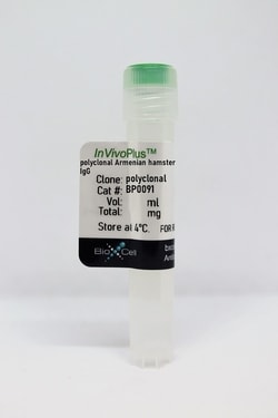 Bio X Cell Polyclonal Armenian Hamster IgG, Unconjugated, 25 MG, Quantity:
