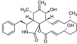 Abcam Cytochalasin B, actin polymerization inhibitor, 5MG, Quantity: Each