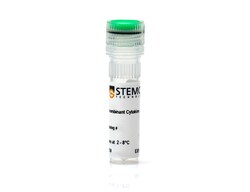 STEMCELL Technologies Human Recombinant IFN-gamma, Size: 100 µg, Quantity: