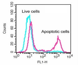 Abcam&nbsp;Generic Caspase Activity Assay Kit (Fluorometric - Green)