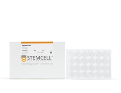 STEMCELL Technologies AggreWell 800 24-well Plate, 1 pack, Size: 1 Unit,