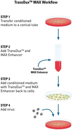 System Biosciences LLC&nbsp;TRANSDUX MAX LENTIVIRUS TRANSDUCTION REAGENTTransDux MAX Lentivirus Transduction Enhancer = 100 Transductions