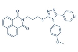 Selleck Chemical LLC WIKI4 10mg 838818-26-1, Quantity: Each of 1