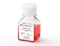 STEMCELL Technologies MethoCult SF H4236, Size: 80 mL, Quantity: Each of