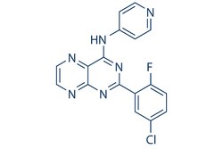Selleck Chemical LLC SD-208 5mg 627536-09-8, Quantity: Each of 1