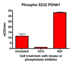 Abcam Phospho S232 PDH E1 alpha protein (PDHA1) Profiling ELISA Kit, 1