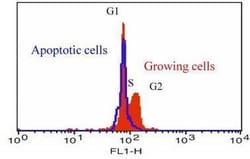 Abcam&nbsp;Cell Cycle Assay Kit (Fluorometric - Green)