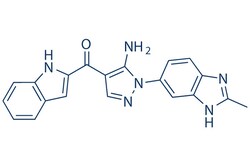 Selleck Chemical LLC CH5183284 (Debio-1347) 5mg 1265229-25-1 FF284, Quantity: