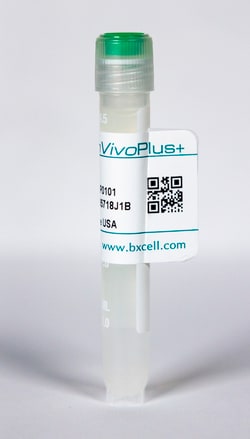 Bio X Cell InVivoPlus anti-mouse PD-L1 (B7-H1), Clone: 10F.9G2, Size: 50