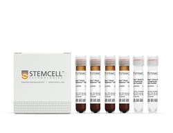 STEMCELL Technologies EasySep Direct Human Total Lymphocyte Isolation Kit,
