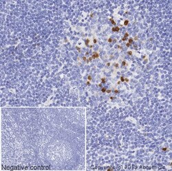 Abcam Rabbit monoclonal [H26-10] Anti-Human IgG1 H&L (Biotin), Quantity: