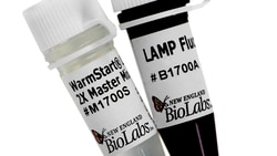 New England Biolabs, Inc. WarmStart LAMP Kit (DNA & RNA) – 500 reactions,
