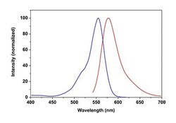 Abcam&nbsp;Phalloidin-iFluor 555 Reagent