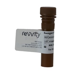 Revvity Health Sciences Inc ViaStain Live Caspase 3/7 Detection for 2D/3D
