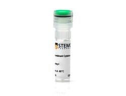 STEMCELL Technologies Human Recombinant EGF, Size: 100 µg, Quantity: Each