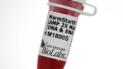 New England Biolabs, Inc. WarmStart Colorimetric LAMP 2X Master Mix (DNA