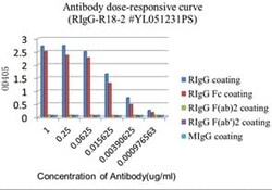 Abcam Rabbit monoclonal [R18-2] Anti-Rat IgG Fc, Quantity: Each of 1