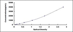Aviva Systems Biology Corp HMGB1 ELISA Kit (Human) (OKCD04074) | 96 Wells,