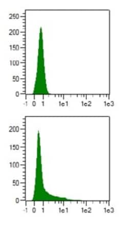 Abcam Rabbit polyclonal to Cre recombinase, Quantity: Each of 1