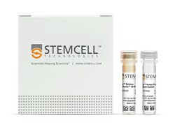 STEMCELL Technologies EasySep Human Pan-ILC Enrichment Kit, For processing: