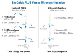 System Biosciences LLC EXOQUICK-TC PLUSExoQuick-TC PLUS Exosome Purification Kit - Tissue Culture Media = 10 Reactions | Buy Online | System Biosciences LLC | Fisher Scientific