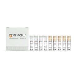 STEMCELL Technologies EasySep Human Th17 Cell Enrichment Kit II, For processing: