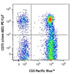 Biolegend PE/Cyanine7 anti-human CD73 (Ecto-5'-nucleotidase), Quantity: