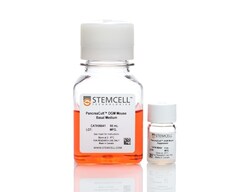 STEMCELL Technologies PancreaCult Organoid Growth Medium (Mouse), Size: