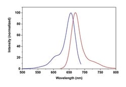Abcam Phalloidin-iFluor 647 Reagent