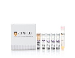 STEMCELL Technologies EasySep Release Mouse Biotin Positive Selection Kit,