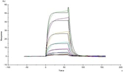 Abcam Recombinant Human Human Serum Albumin protein (His tag), Quantity: