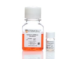 STEMCELL Technologies HepatiCult Organoid Growth Medium (Mouse), Size: