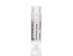 STEMCELL Technologies Mouse Pancreatic Organoids, Size: 1 Unit, Quantity: