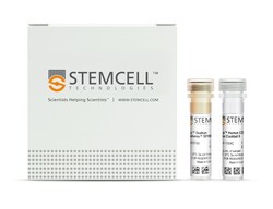 STEMCELL Technologies EasySep Human CD19 Positive Selection Kit II, For