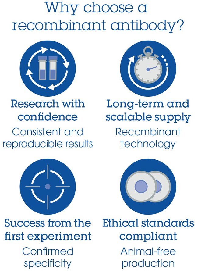 abcam-rabbit-monoclonal-mjfr-14-6-4-2-to-alpha-synuclein-aggregate