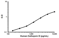 Abcam Human Cathepsin D ELISA Kit, Quantity: Each of 1
